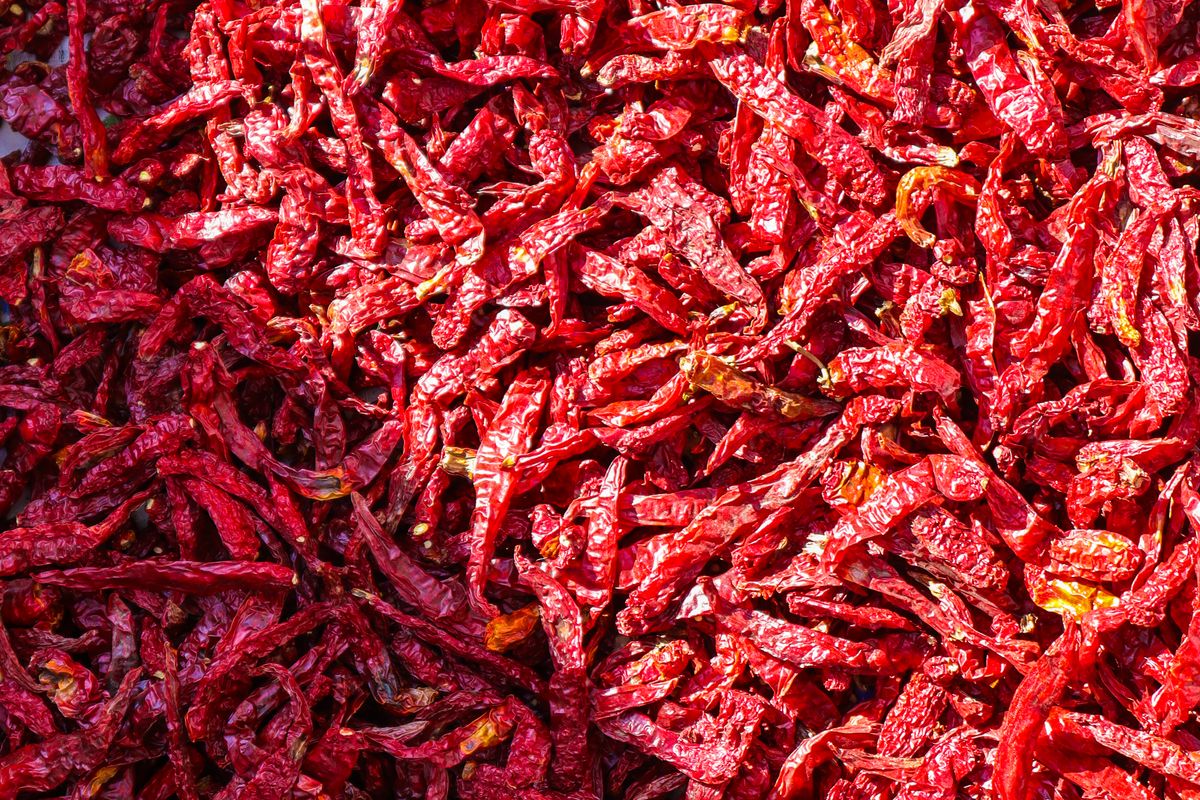 A dense spread of dried red chillies