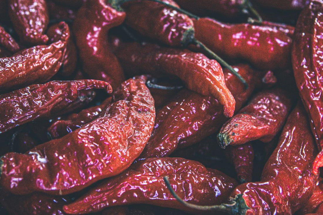 Close-up of glossy dark red ghost pepper (Bhut Jolokia) chillies