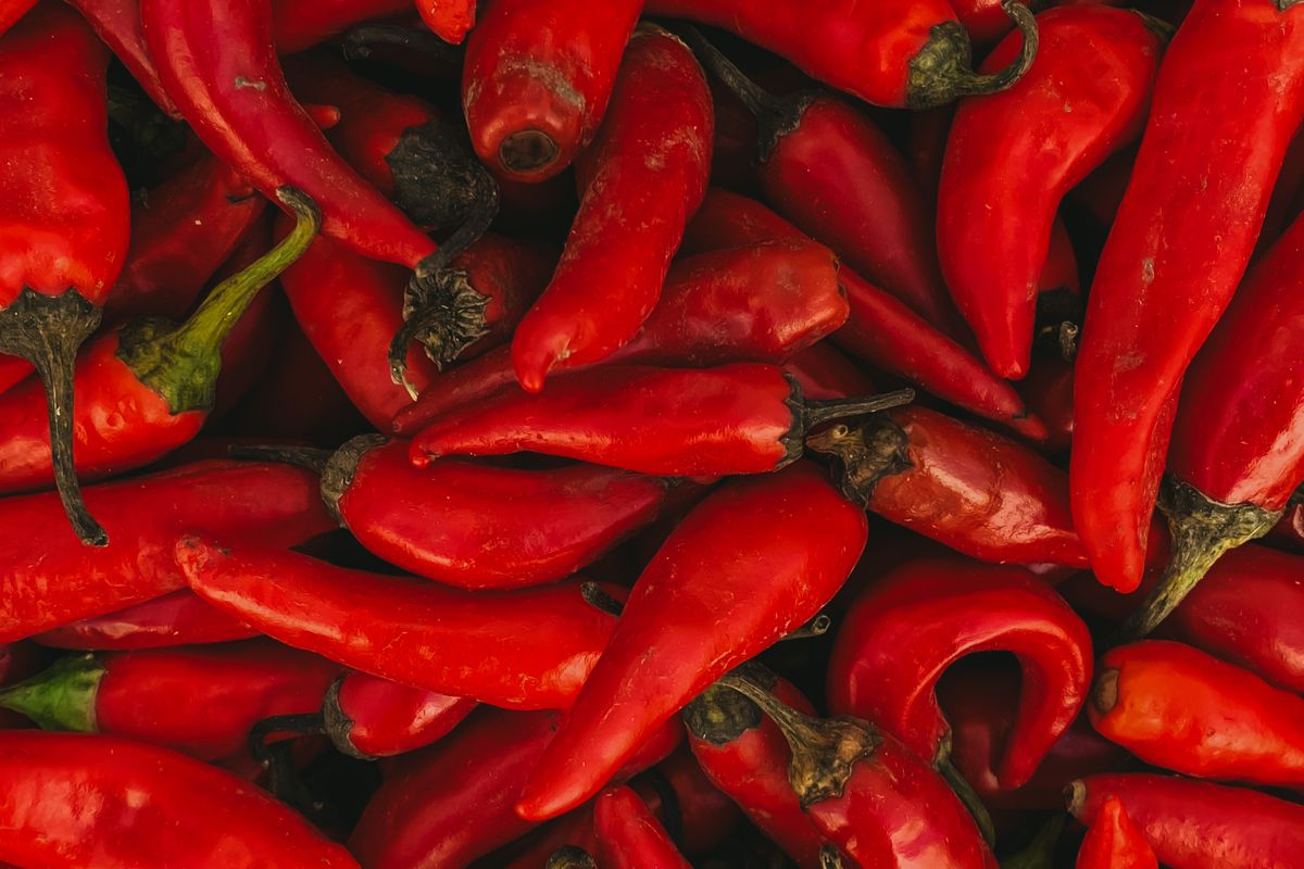 A heap of bright red hot chillies